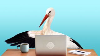Illustration d'une cigogne assise à un bureau avec un ordinateur portable et une tasse de café